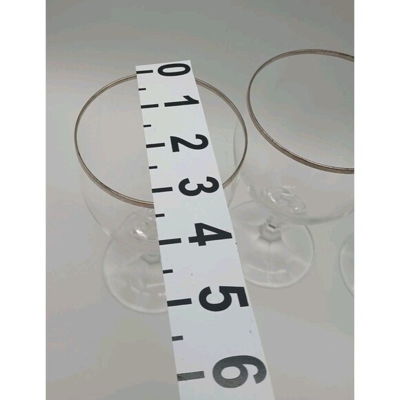 Set of 4 Schott Zwiesel NECKAR Platinum Trim Crystal Water Goblets  Germany - Picture 3 of 5